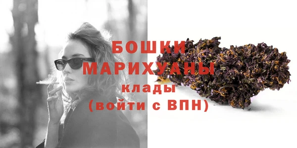 гидра Анжеро-Судженск