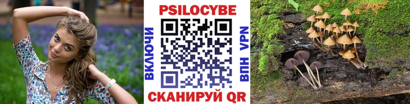 сайты даркнета официальный сайт  Ак-Довурак  Псилоцибиновые грибы ЛСД 