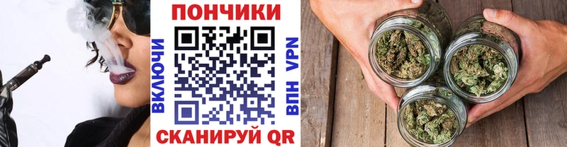 Бошки Шишки THC 21%  купить наркотик  Ак-Довурак 